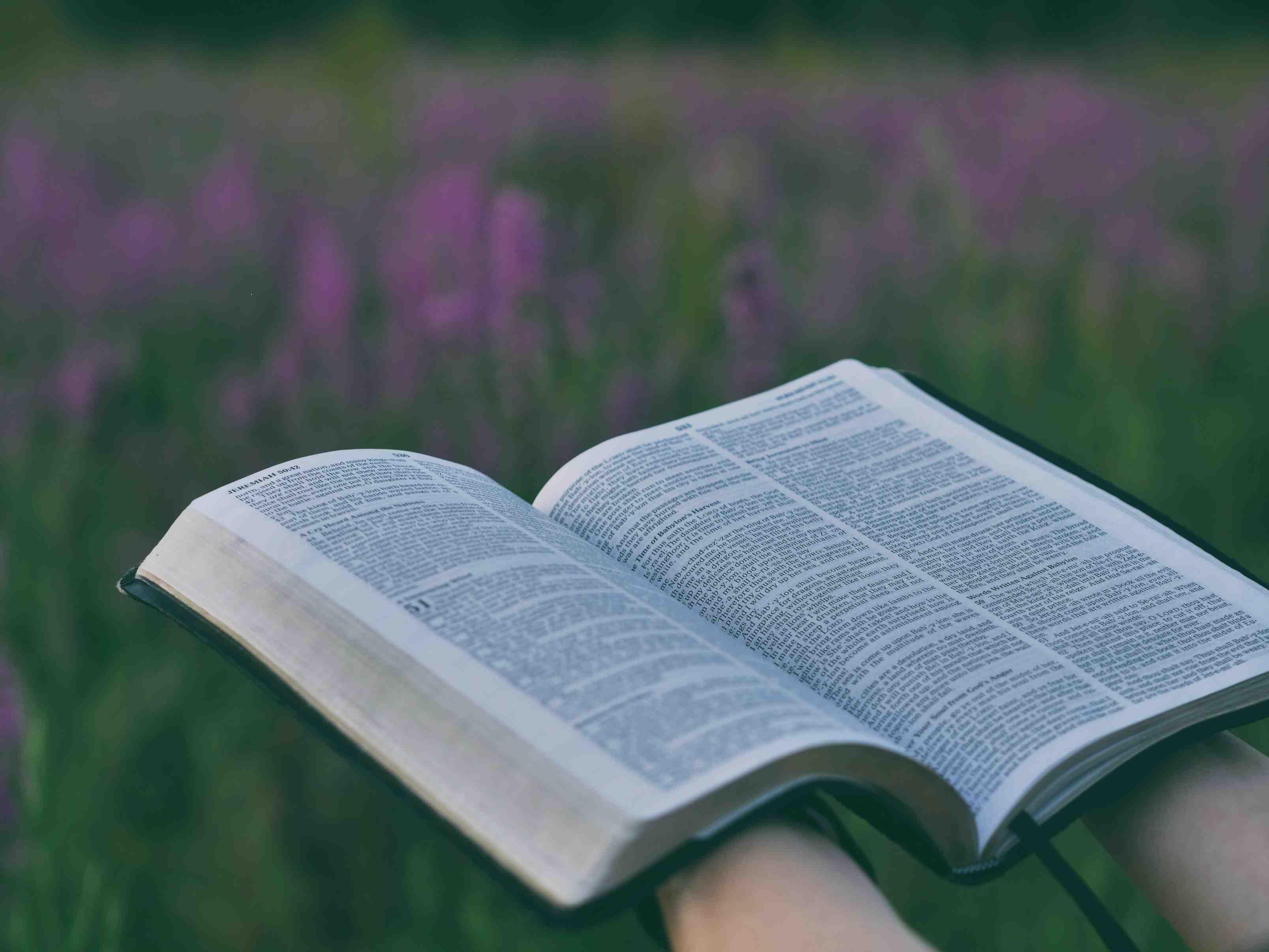 An open bible is pictured in a grassy field with purple flowers in the background.