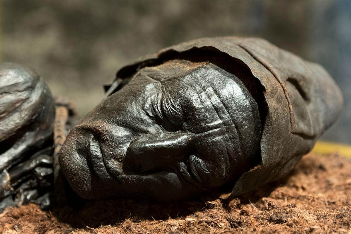 Tollund Man bog body's head and neck