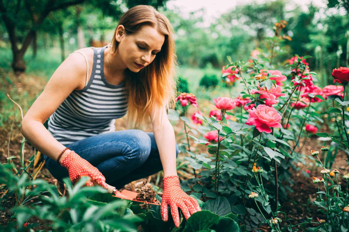 pn/eba f c cb afcbea