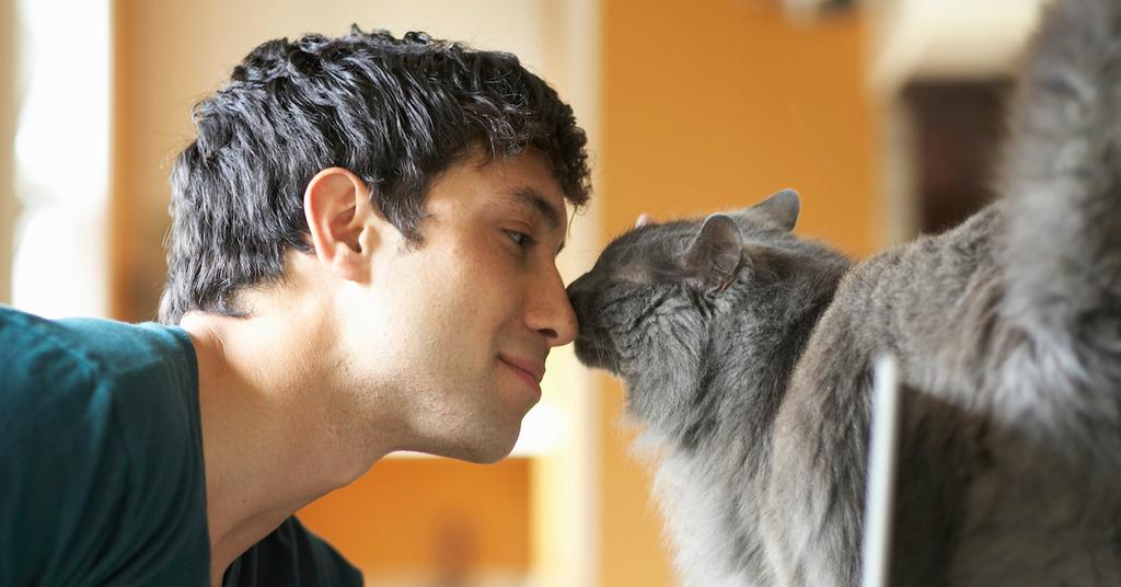 Does My Cat Know I Love Him?