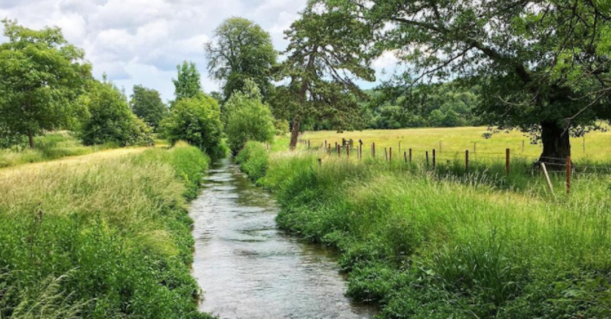 River Chess in England.