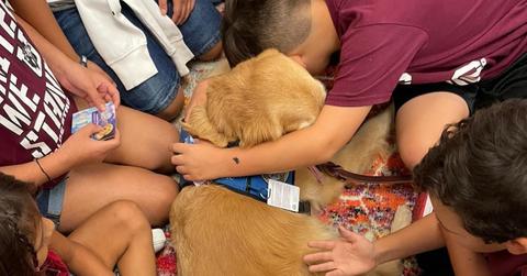 Comfort Dogs Uvalde