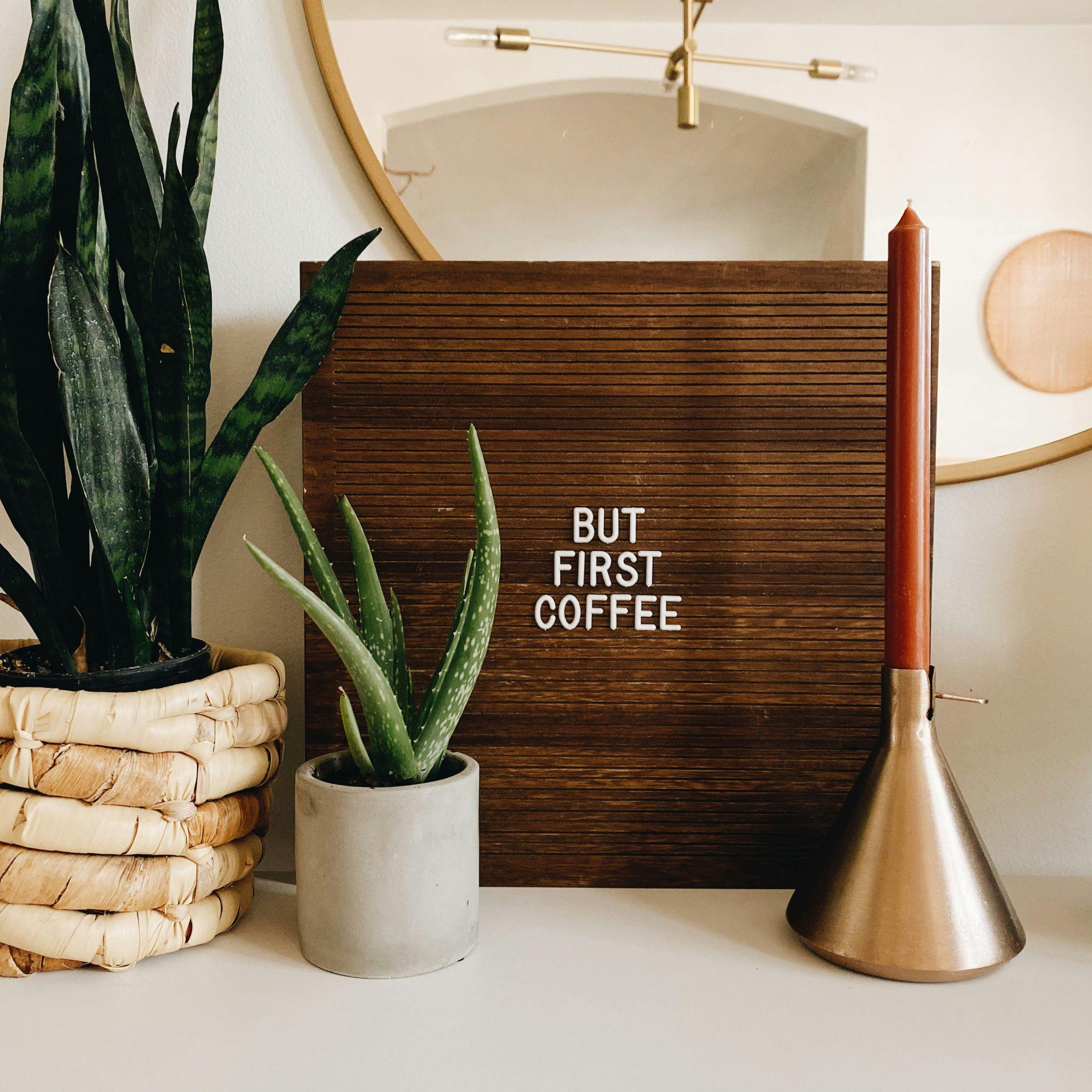 A snake plant and a succulent appear pictured beside a candle and a creative board that reads "But First Coffee."