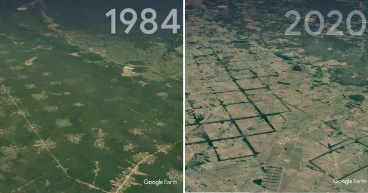 Comparison of how a forest in Bolivia rapidly disappeared in 36 years. (Cover Image Source: YouTube | @googleearth)
