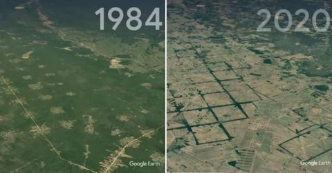Comparison of how a forest in Bolivia rapidly disappeared in 36 years. (Cover Image Source: YouTube | @googleearth)